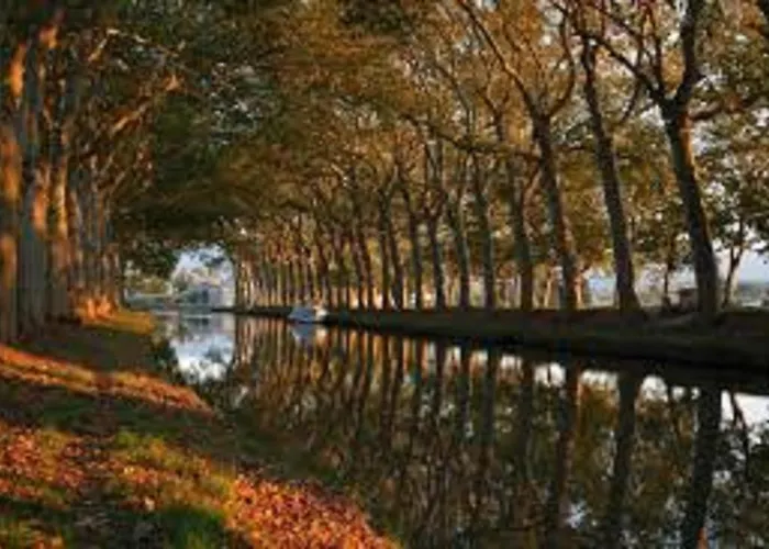 Au Pied De La Cite Διαμέρισμα Καρκασόν